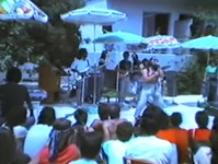 Οι Μουσικές Ταξιαρχίες στα Δελφίνια (Κάλαμος) Οι Μουσικές Ταξιαρχίες στα Δελφίνια (Κάλαμος)
