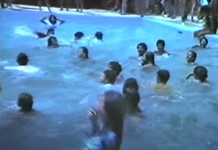 Οι Μουσικές Ταξιαρχίες στα Δελφίνια (Κάλαμος) Οι Μουσικές Ταξιαρχίες στα Δελφίνια (Κάλαμος)